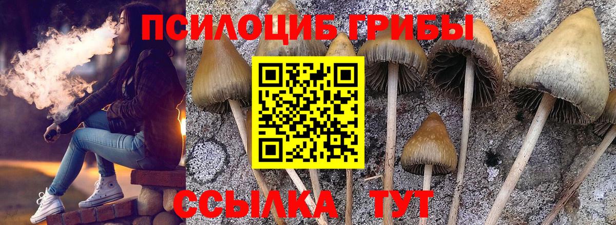 Галлюциногенные грибы ЛСД Приморско-Ахтарск