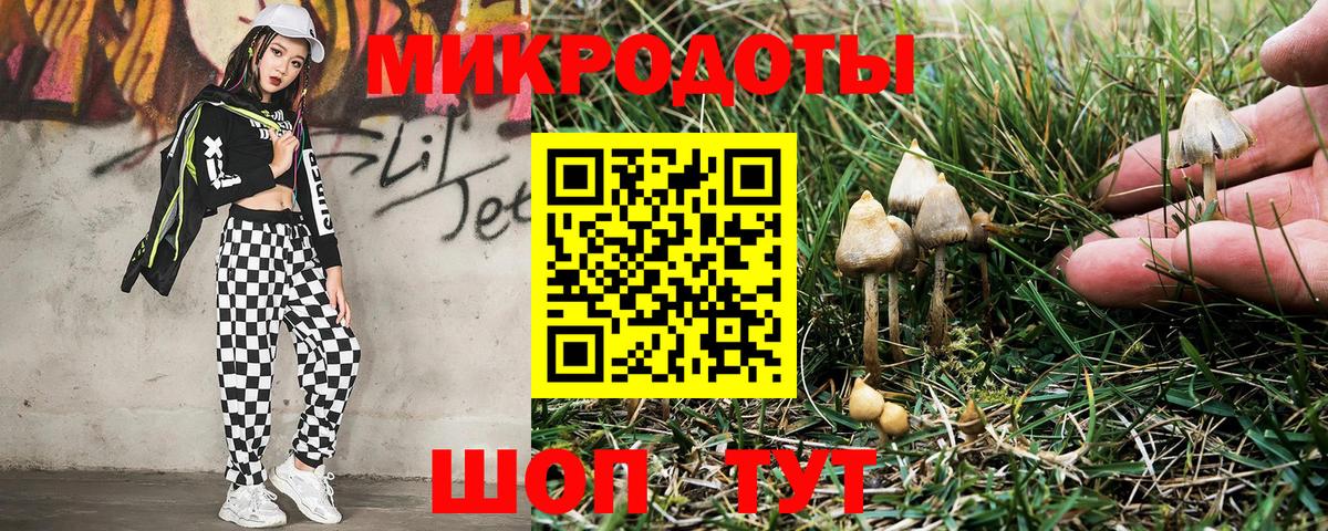 Псилоцибиновые грибы GOLDEN TEACHER  Вход с VPN  Приморско-Ахтарск 